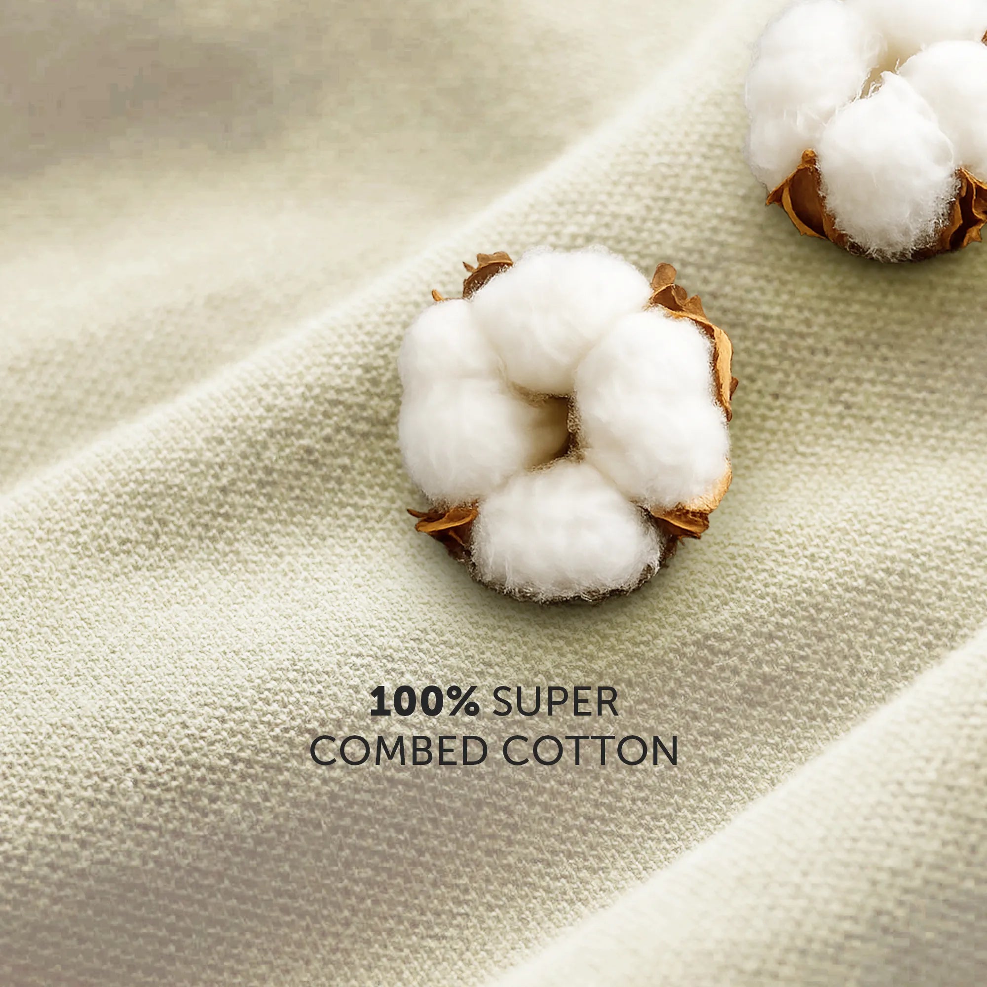 Nova Combed Cotton Polo T-shirts Almond White