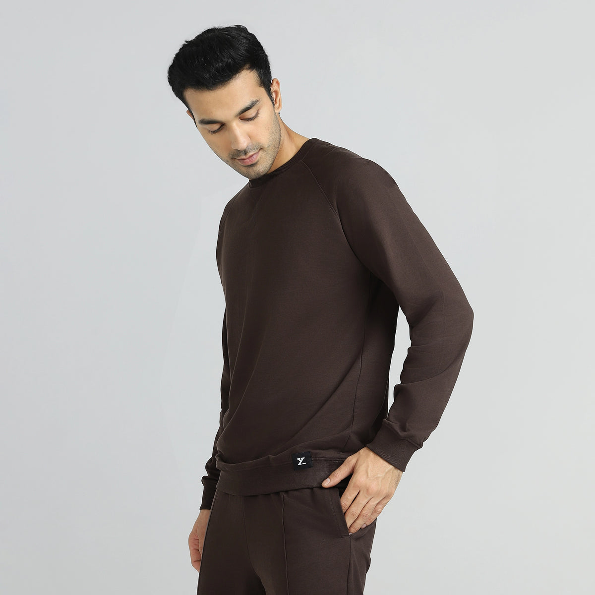 Cruze French Terry Cotton Sweatshirts Malt Brown
