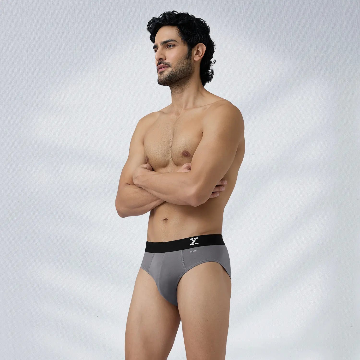 Aero Silver Cotton Briefs Ash Grey