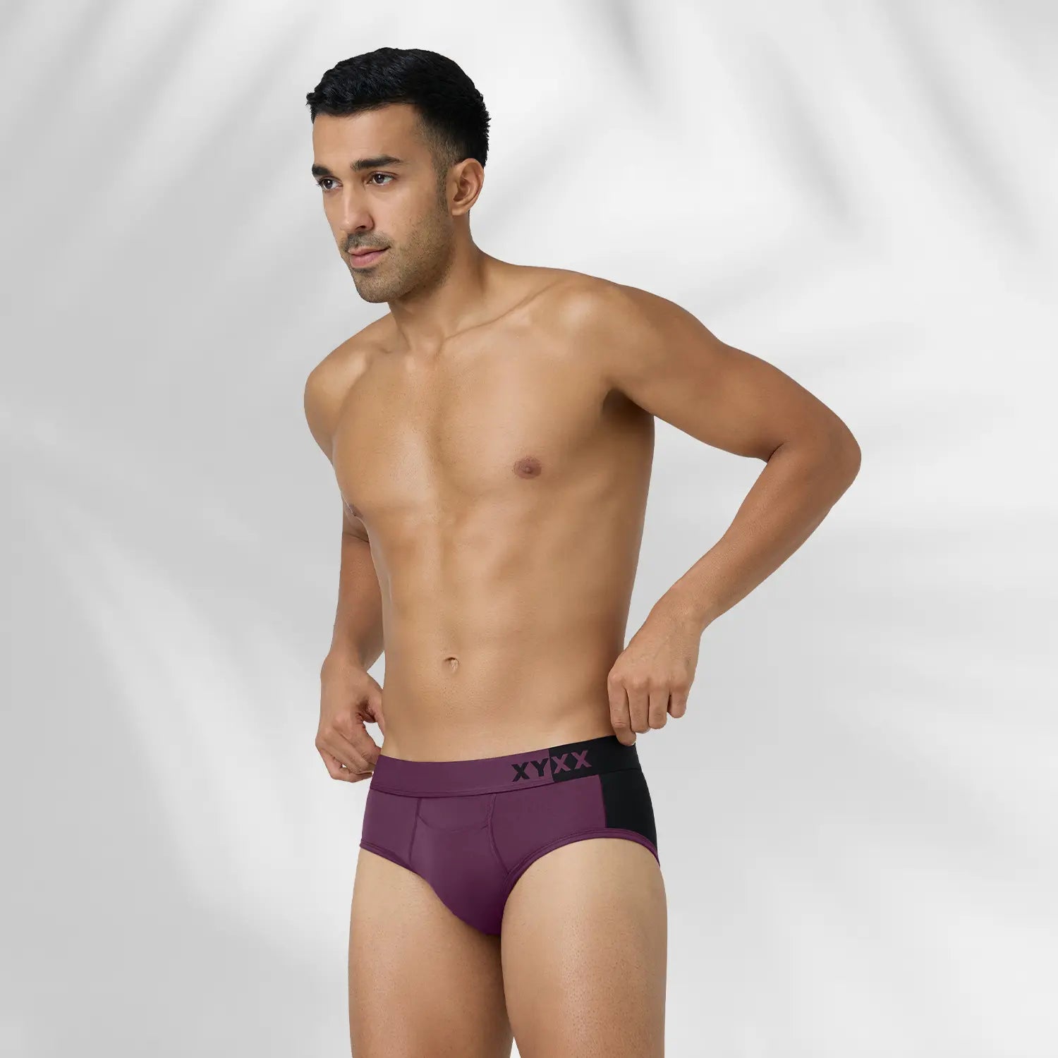 Dualist Modal Briefs Purple Plum