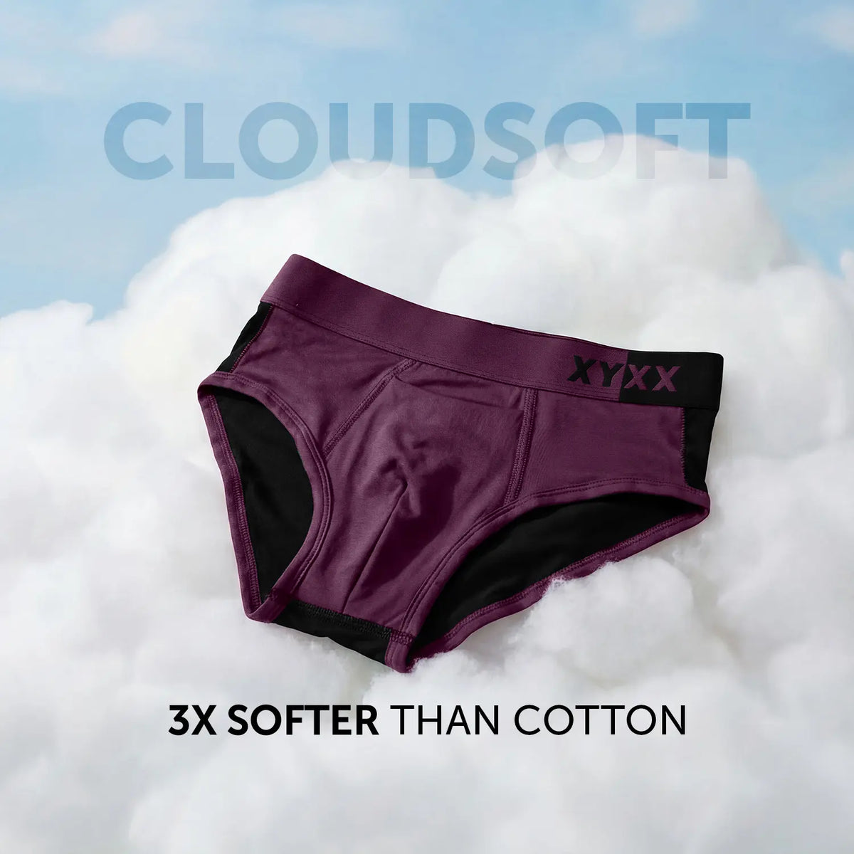 Dualist Modal Briefs Purple Plum