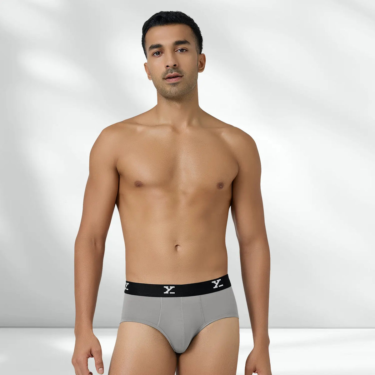Ace Modal Briefs Heather Grey