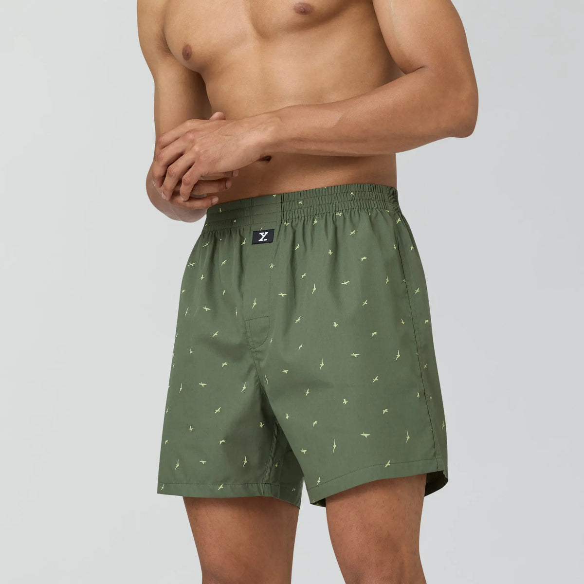 Astor Lounge Inner Boxers Wings Green - XYXX Crew