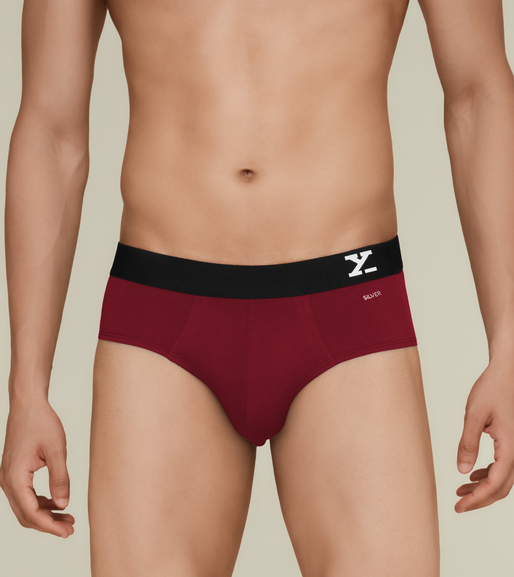 Aero Silver Cotton Briefs For Men Pack of 2(Maroon, Light Blue) -  XYXX Mens Apparels